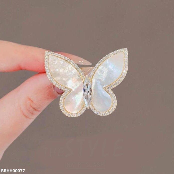 Painted Butterfly Broach
