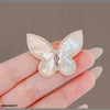 Painted Butterfly Broach