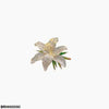 Flower Broach