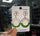 Wheel Drop Earrings Pair