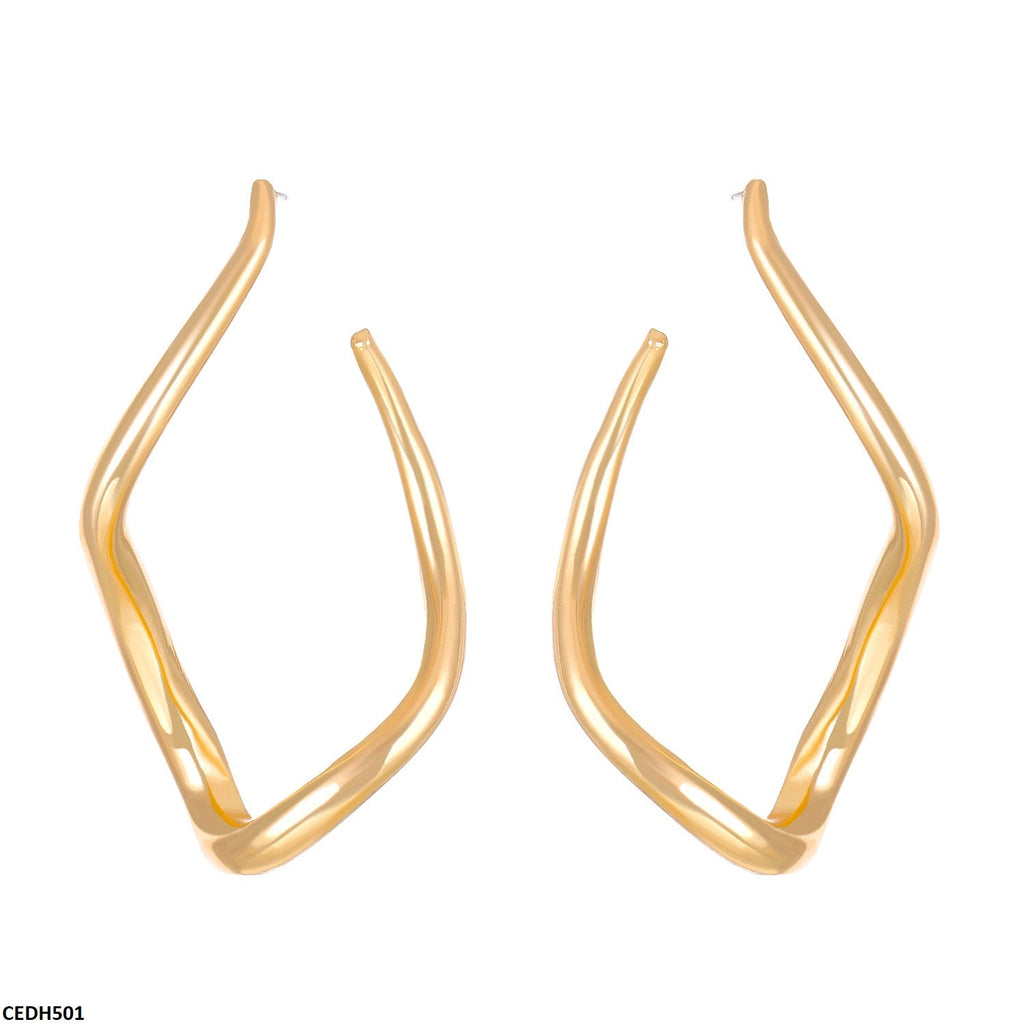 Stainless Steel Earrings