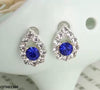 Tear Blue Stone Tops Pair