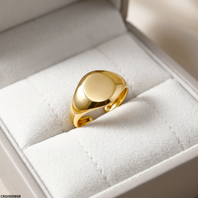 Stainless Steel Oval Signet Ring Adjustable