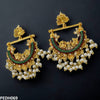 Peacock Ear Drop Pair