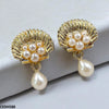 Shell Pearl Drop Earrings