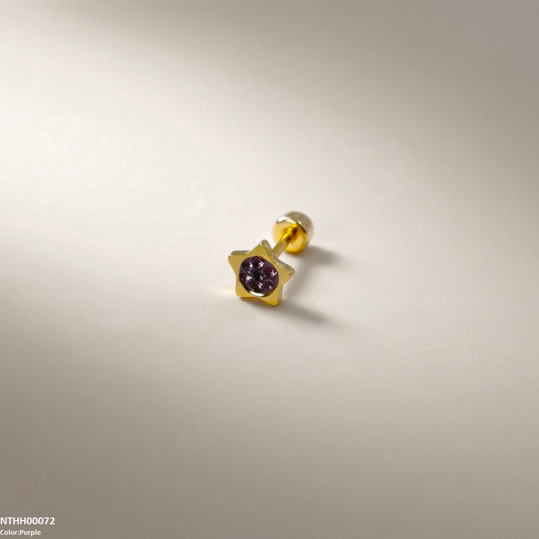 Star Round Stone Stainless Steel Nose Pin