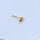 Pineapple Nose Pin