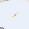 Plain Nose Pin