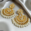 Tear/Flower Pearl Drop Earrings