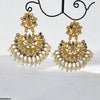 Tear/Flower Pearl Drop Earrings