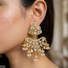 Tear Pearl Drop Earrings