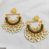 Peacock Ear Drop Pair