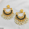 Peacock Ear Drop Pair