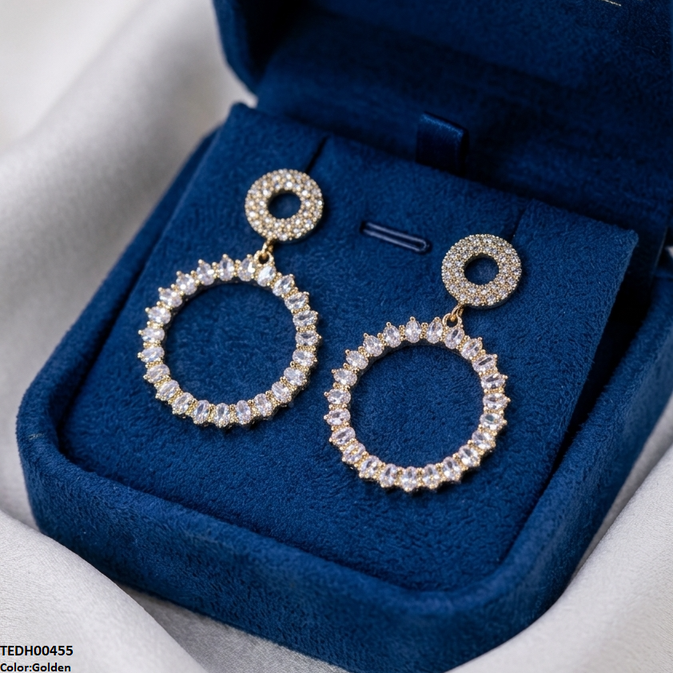 Double Round Drop Zircon Earrings