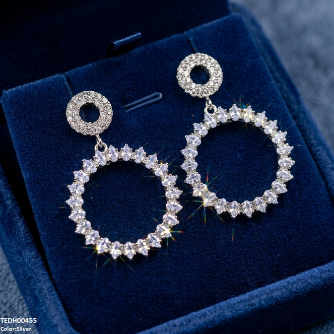 Double Round Drop Zircon Earrings