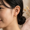 Round Stainless Steel Ear Hoops Pair