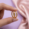Round Stainless Steel Ear Hoops Pair