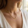 Stainless Steel Plain Necklace