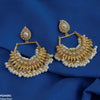 Tear/Pearl Drop Earrings