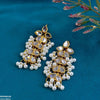 Tear Pearl Drop Earrings