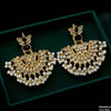 Oval/Tear Pearl Drop Earrings