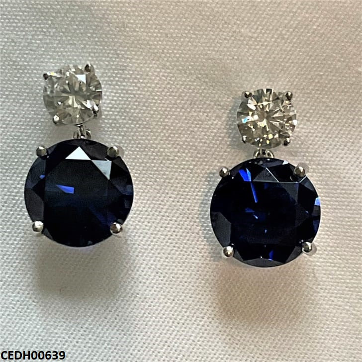 Double Round Drop Earring